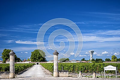 MARGAUX â€“ BORDEAUX: Chateau Rauzan-Segla with vineyards. Aquitania, France Stock Photo